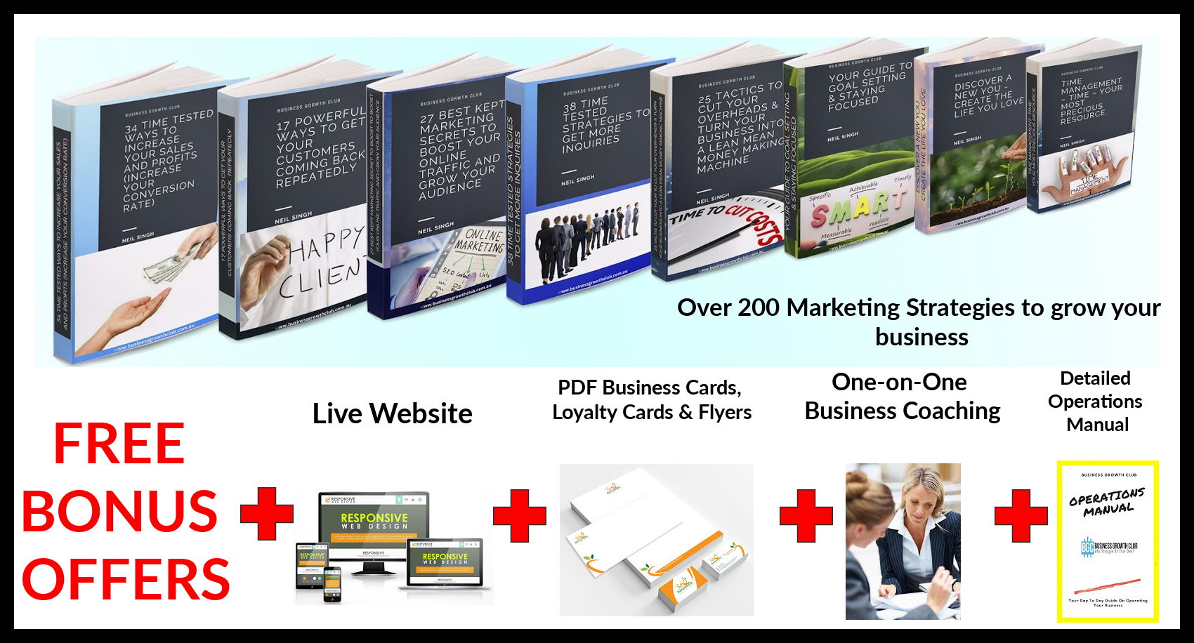 Business in a box start your own dropship business 